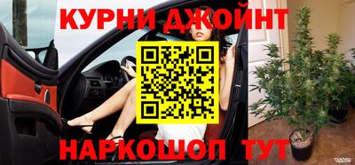 стаф Аргун